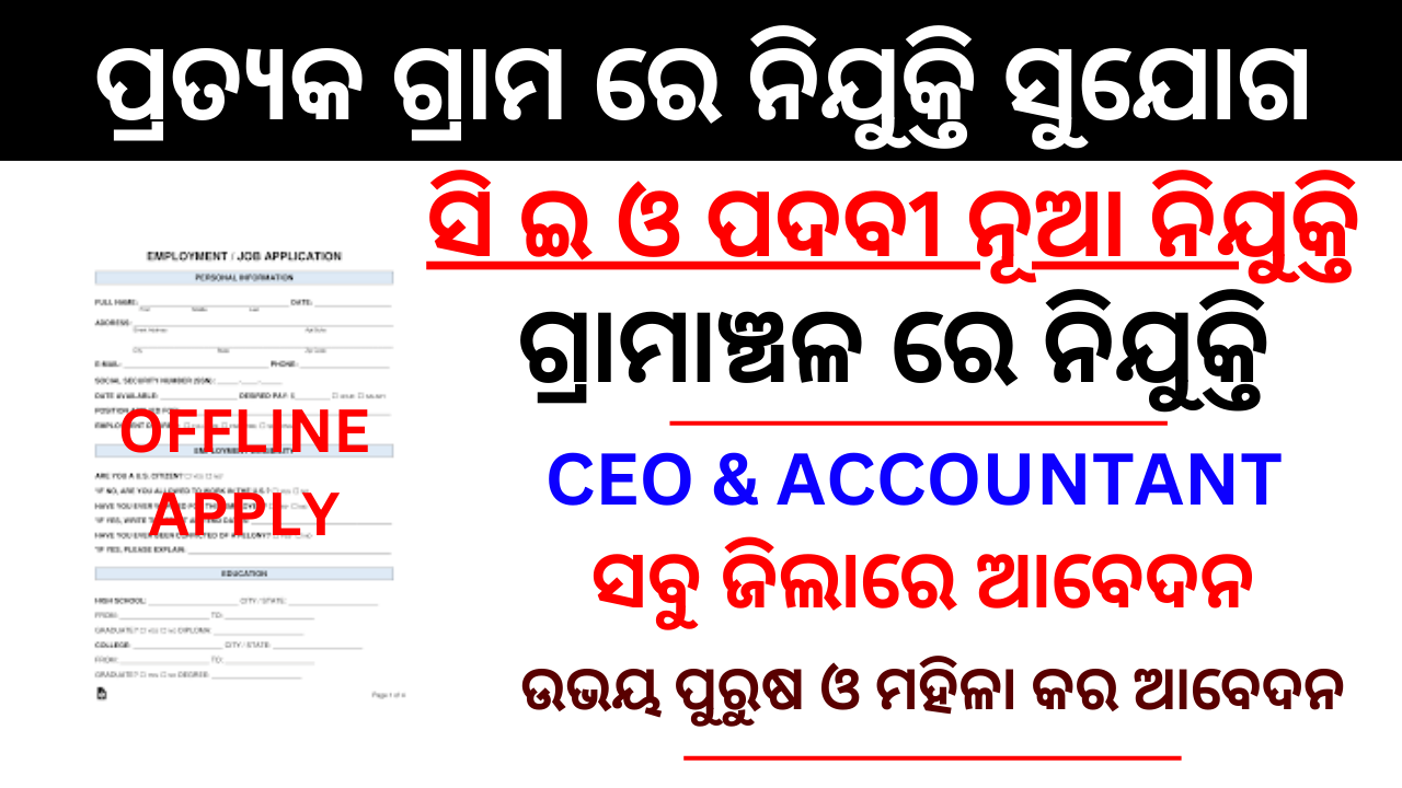 Odisha Village Level Job Recruitment 2024 : Apply for CEO & Accountant Posts